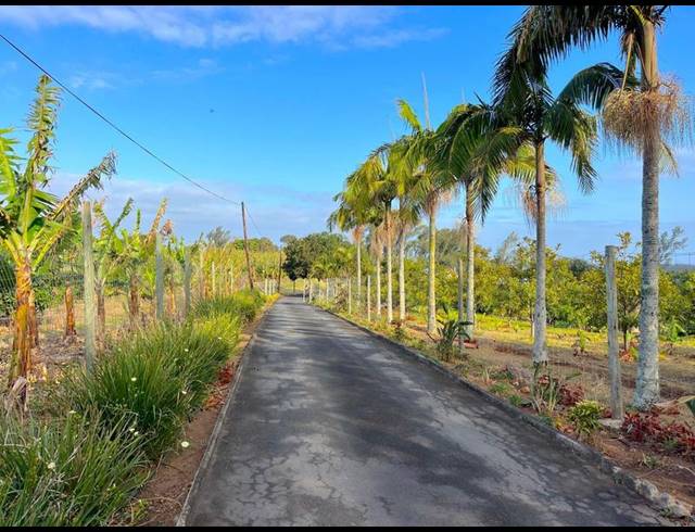 FARM FOR SALE IN BANNERS REST